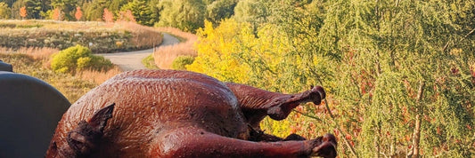 The Perfect Smoked Turkey (Pellet Grill)