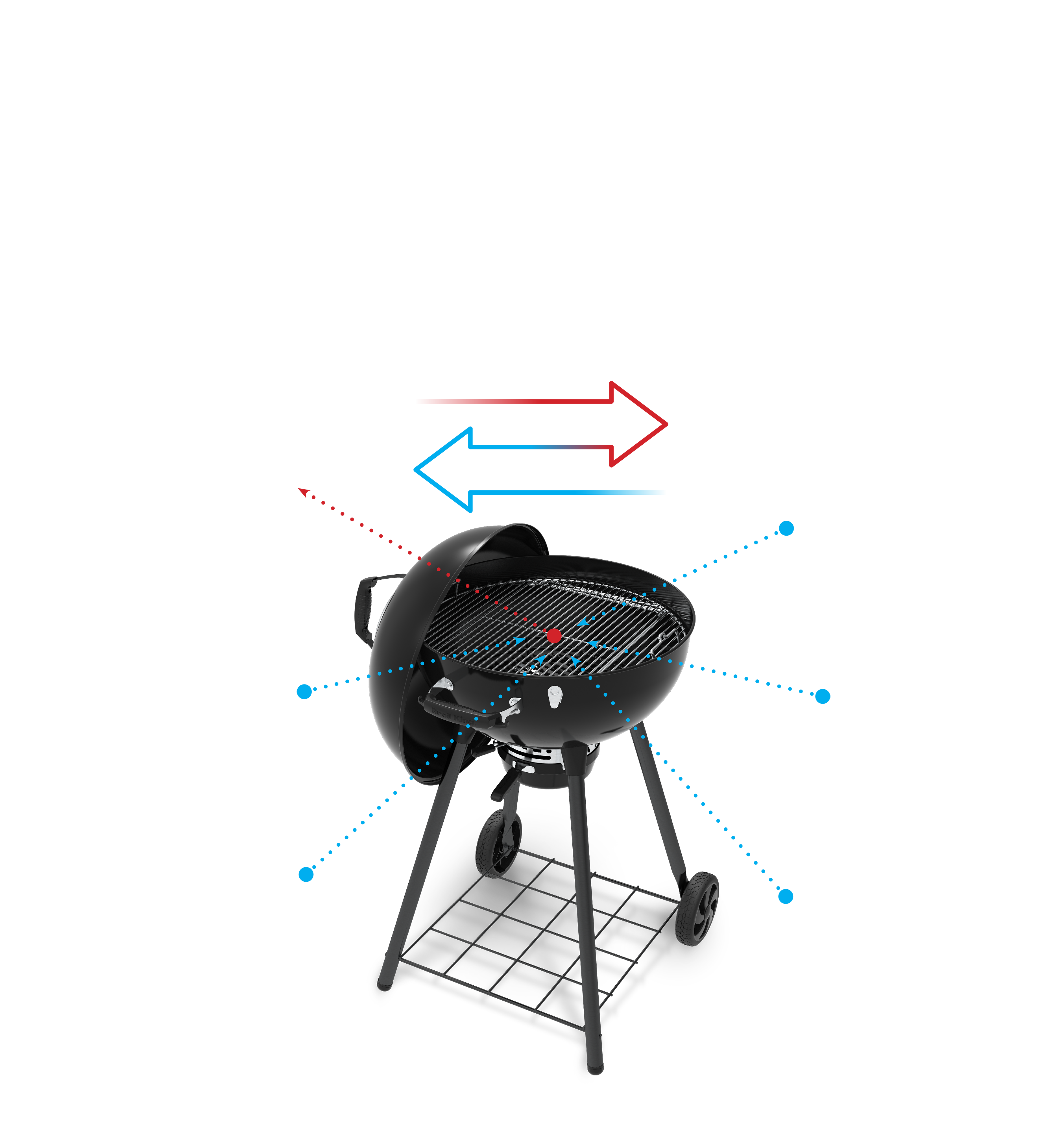Grill Anatomy Image
