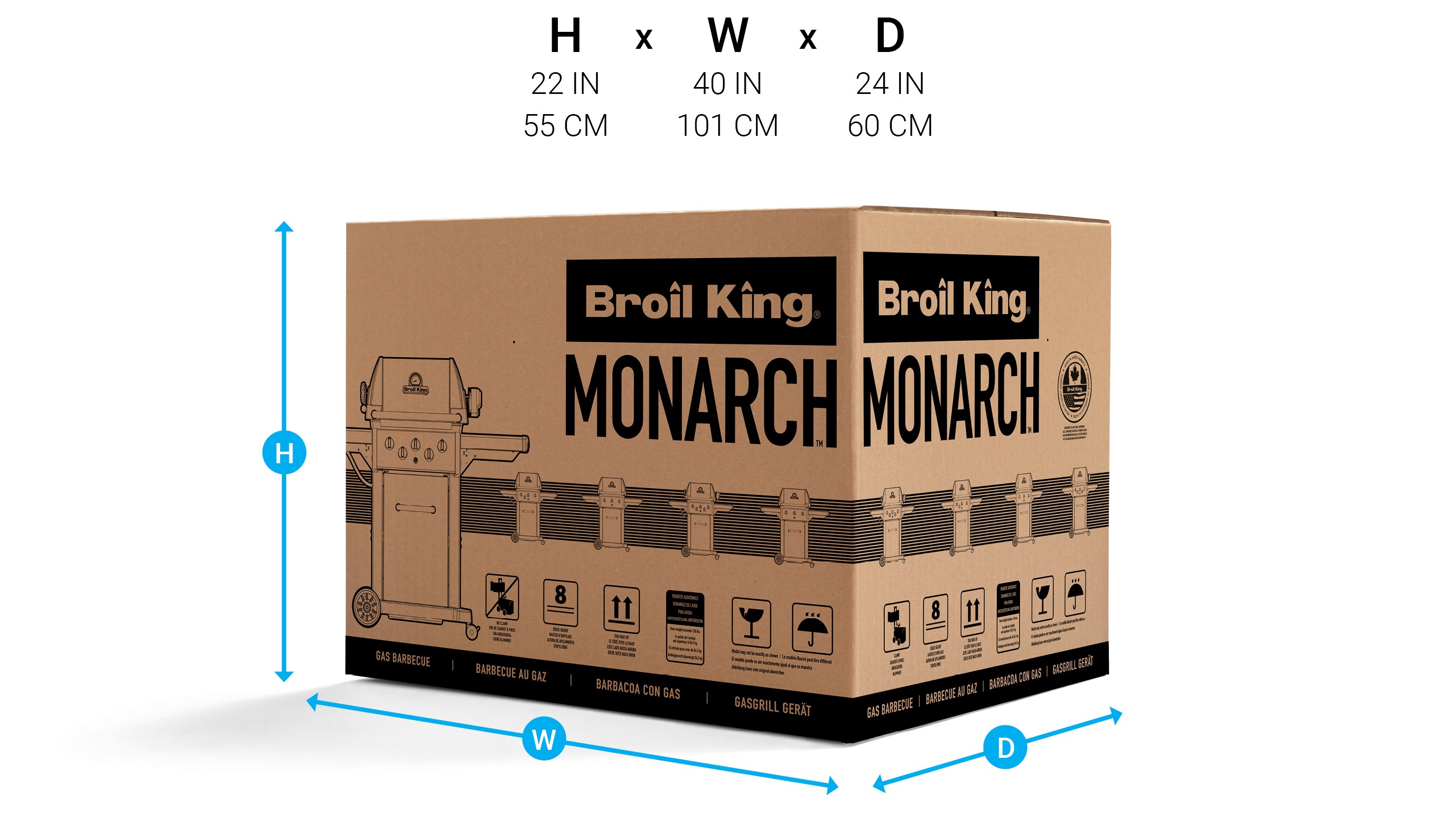 Carton Dimensions Image