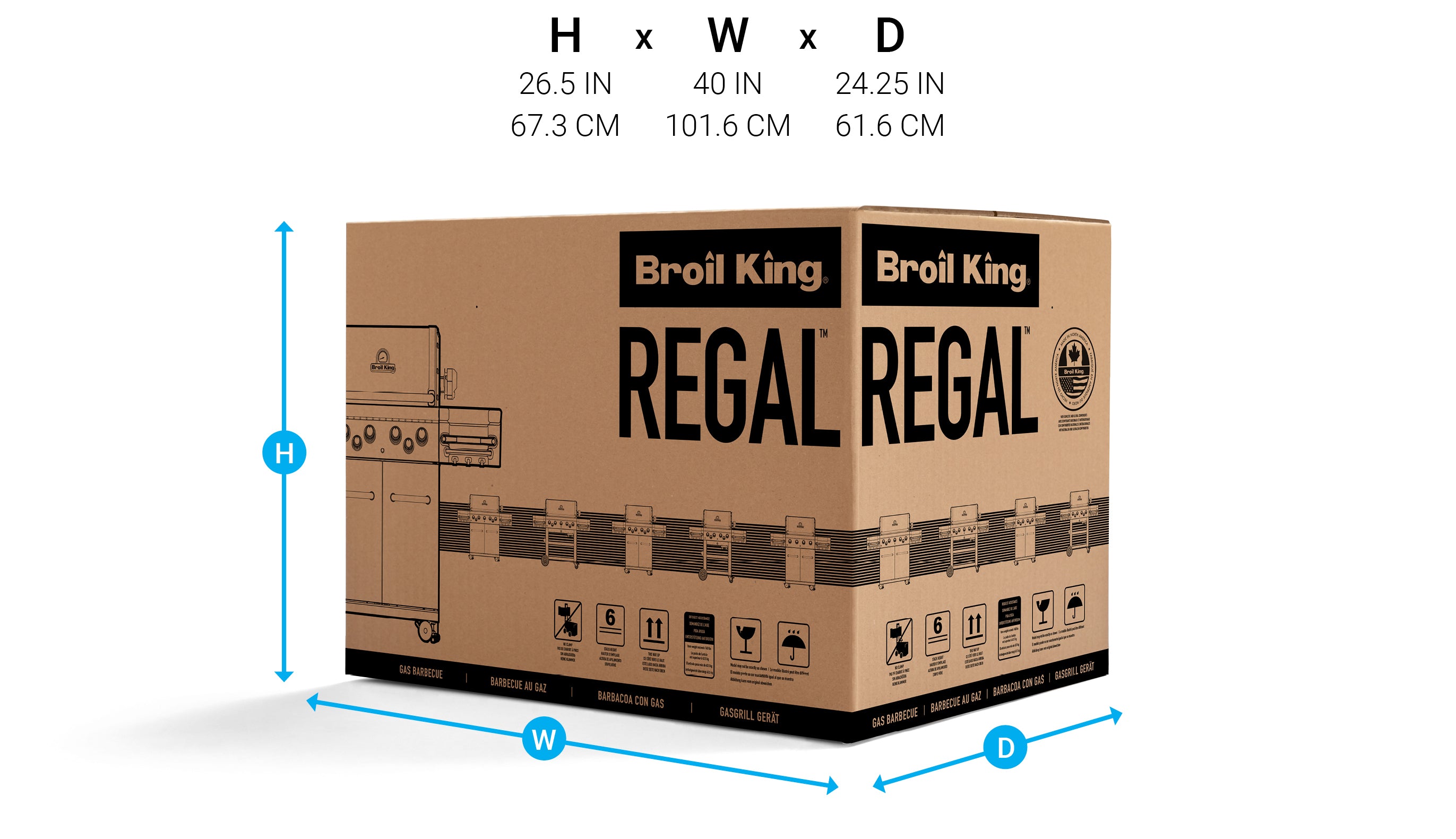 Carton Dimensions Image