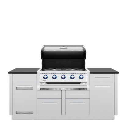Regal™ S 520i Island Grill